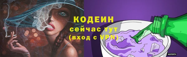 прущие грибы Абинск