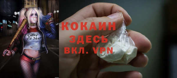 прущие грибы Абинск