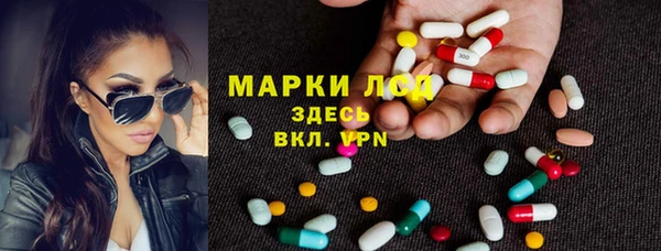 прущие грибы Абинск
