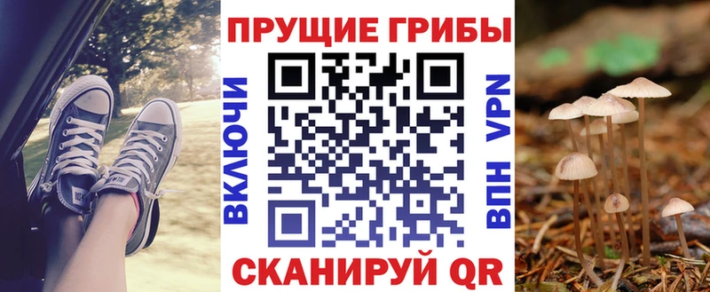 Псилоцибиновые грибы мицелий  гидра маркетплейс  Азов 